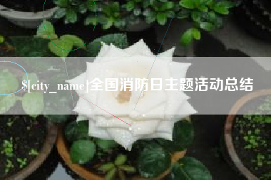 漳州全国消防日主题活动总结