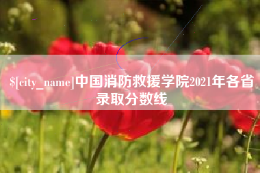 漳州中国消防救援学院2021年各省录取分数线