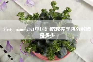 漳州2021中国消防救援学院分数线是多少