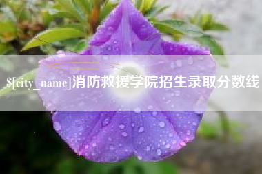 漳州消防救援学院招生录取分数线