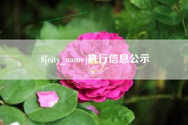 漳州执行信息公示