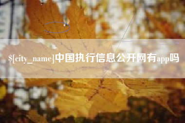 漳州中国执行信息公开网有app吗