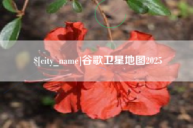 漳州谷歌卫星地图2025