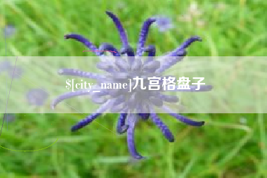 漳州九宫格盘子