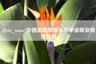 漳州中国消防救援学院毕业就业前景如何