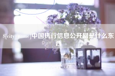 漳州中国执行信息公开网是什么东西