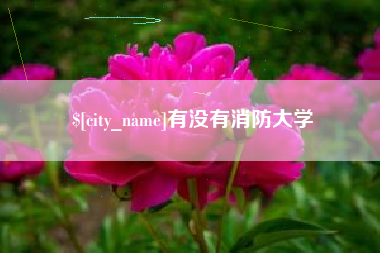 漳州有没有消防大学