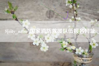 漳州国家消防救援队伍报名网址