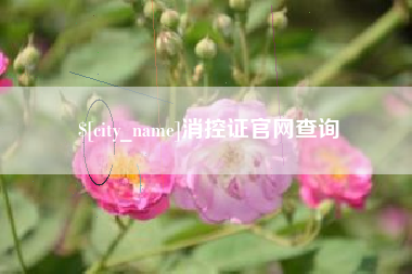 漳州消控证官网查询
