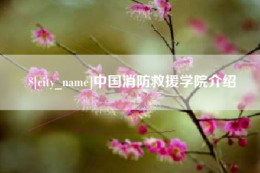 漳州中国消防救援学院介绍