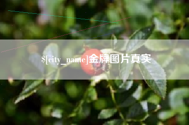 漳州金牌图片真实