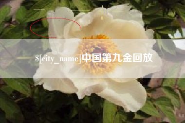 漳州中国第九金回放