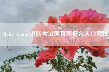 漳州消防考试网官网报名入口网址