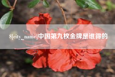 漳州中国第九枚金牌是谁得的