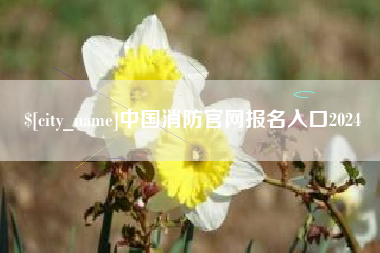 漳州中国消防官网报名入口2024