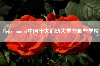 漳州中国十大消防大学有哪些学校