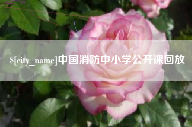 漳州中国消防中小学公开课回放
