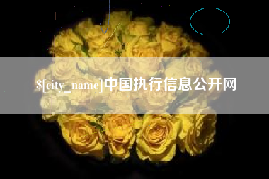 漳州中国执行信息公开网