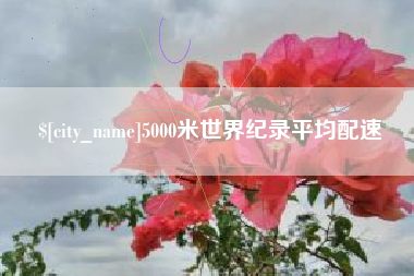 漳州5000米世界纪录平均配速