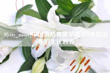 漳州中国消防救援学院2020年在山东招生计划表