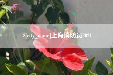 漳州上海消防员2021
