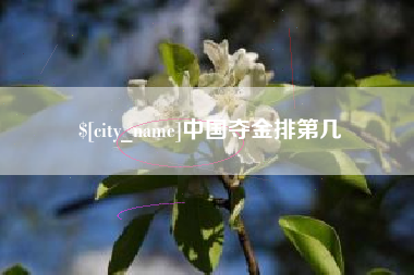 漳州中国夺金排第几
