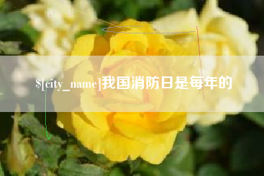 漳州我国消防日是每年的