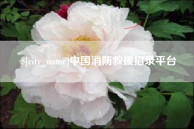 漳州中国消防救援招录平台