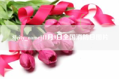 漳州11月9日全国消防日图片