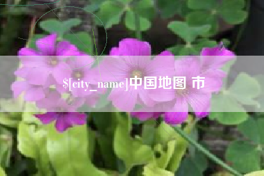 漳州中国地图 市