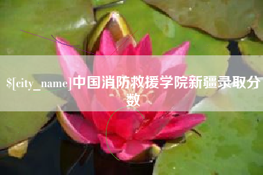 漳州中国消防救援学院新疆录取分数