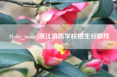 漳州浙江消防学校招生分数线