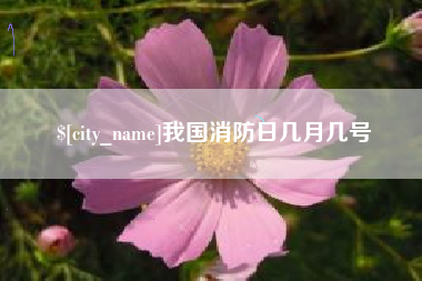 漳州我国消防日几月几号