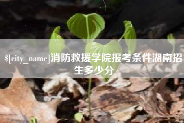 漳州消防救援学院报考条件湖南招生多少分