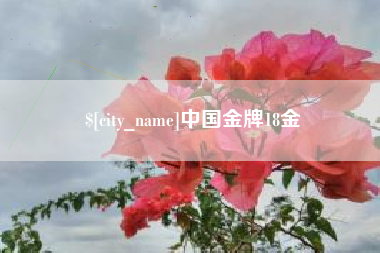 漳州中国金牌18金