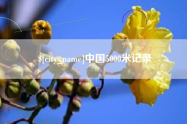 漳州中国5000米记录
