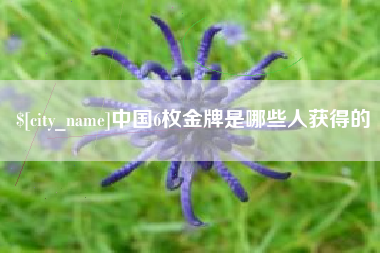 漳州中国6枚金牌是哪些人获得的