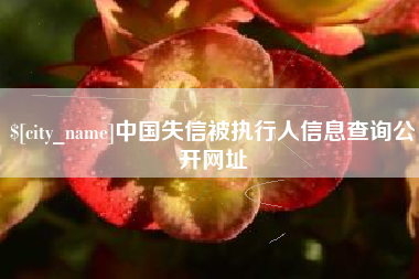 漳州中国失信被执行人信息查询公开网址