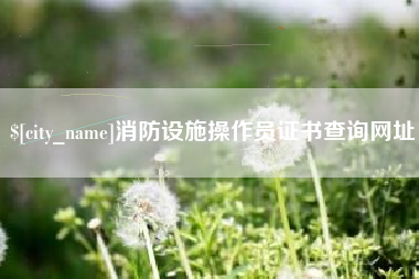 漳州消防设施操作员证书查询网址