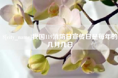 漳州我国119消防日宣传日是每年的几月几日