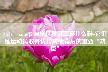 漳州5000米世界冠军穿什么鞋-它们是运动员取得优异成绩背后的重要“功臣”