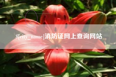 漳州消防证网上查询网站