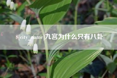 漳州九宫为什么只有八卦