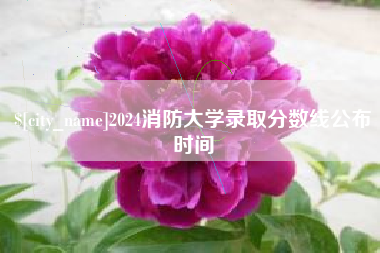 漳州2024消防大学录取分数线公布时间