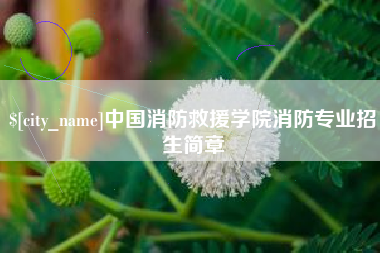 漳州中国消防救援学院消防专业招生简章