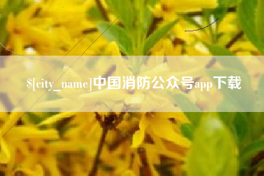 漳州中国消防公众号app下载