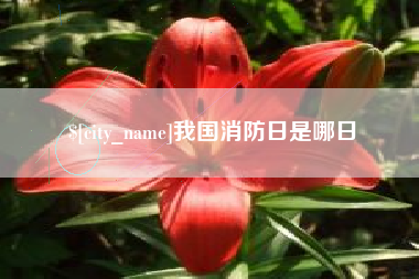 漳州我国消防日是哪日