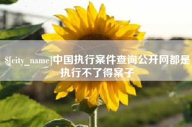 漳州中国执行案件查询公开网都是执行不了得案子