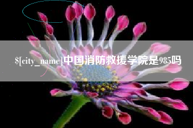 漳州中国消防救援学院是985吗