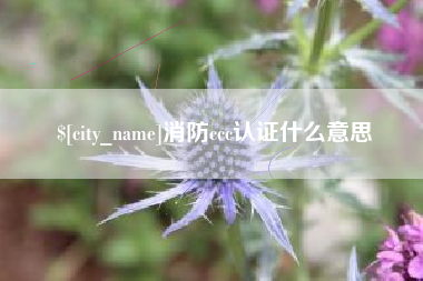 漳州消防ccc认证什么意思